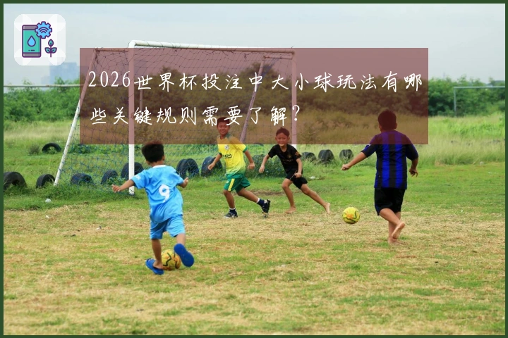 2026世界杯投注中大小球玩法有哪些关键规则需要了解？