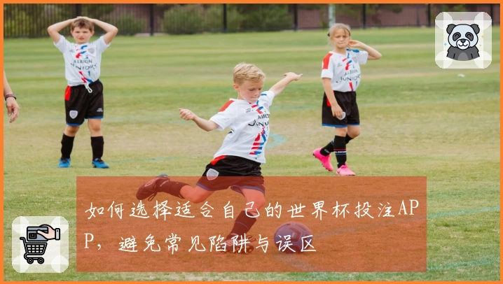 如何选择适合自己的世界杯投注APP，避免常见陷阱与误区