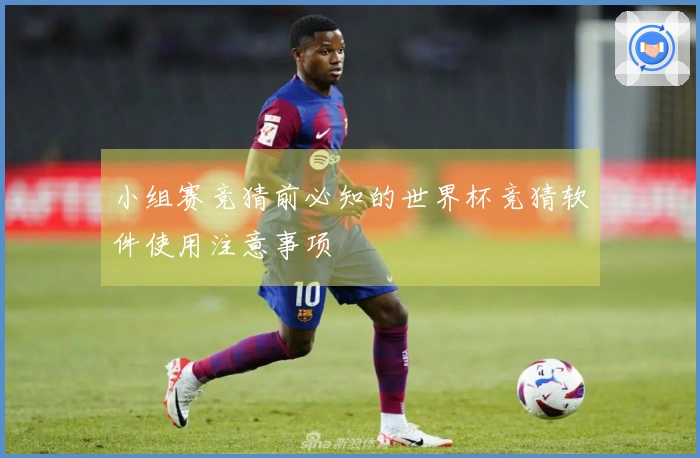 小组赛竞猜前必知的世界杯竞猜软件使用注意事项
